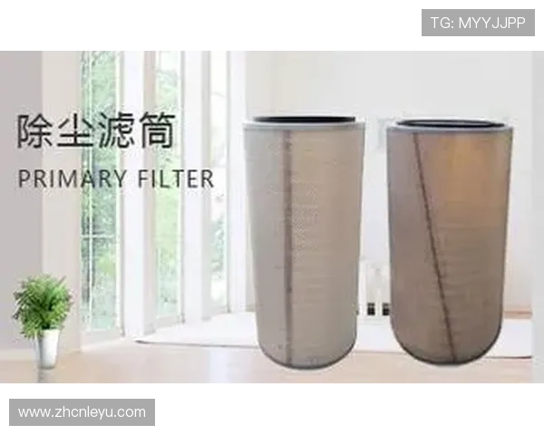 乐鱼leyu官方官方公告每日更新确保用户权益和最新优惠信息